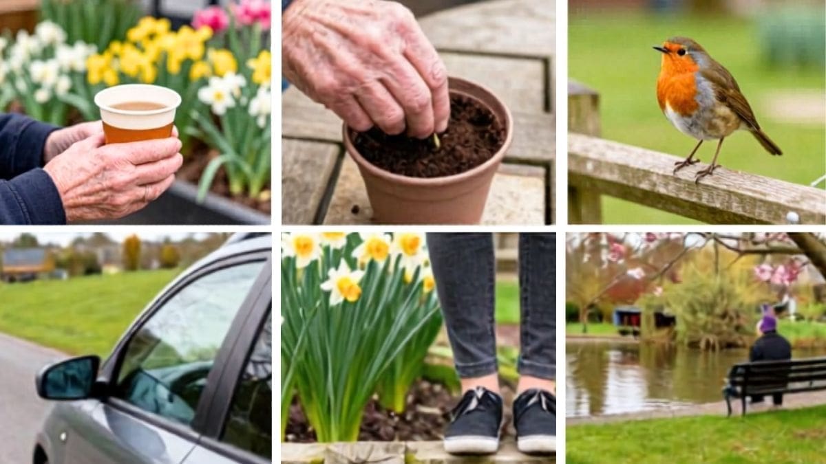 collage of six spring outdoor scenes, a close-up of older hands holding a takeaway cup of tea, a gloved older hand pressing a seed into a small pot of dark compost on a patio table, a Robin perched on a wooden fence post. a car parked on a scenic country road,and someone sitting on a bench near a duck pond